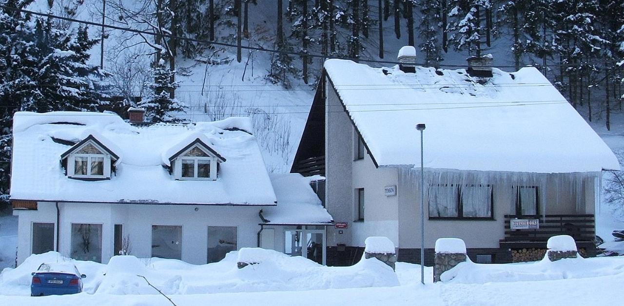 Pension Krupka 443 - Ski Herlikovice A Bubakov Vrchlabí エクステリア 写真