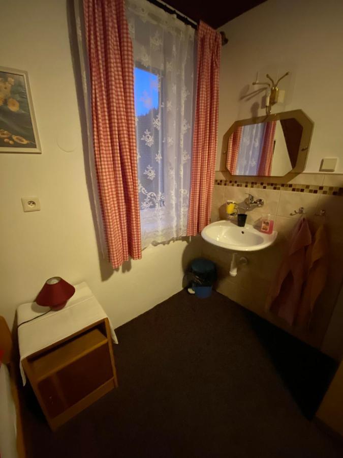 Pension Krupka 443 - Ski Herlikovice A Bubakov Vrchlabí エクステリア 写真