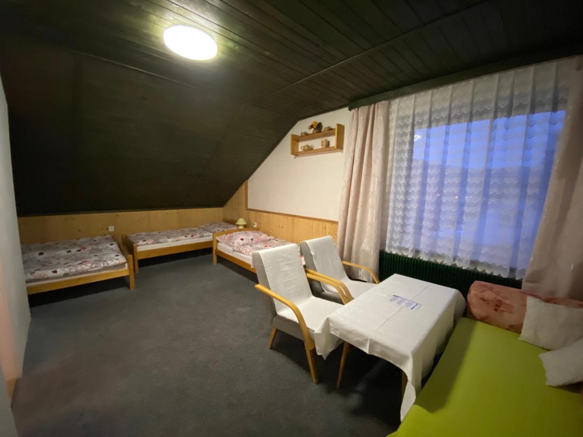 Pension Krupka 443 - Ski Herlikovice A Bubakov Vrchlabí エクステリア 写真
