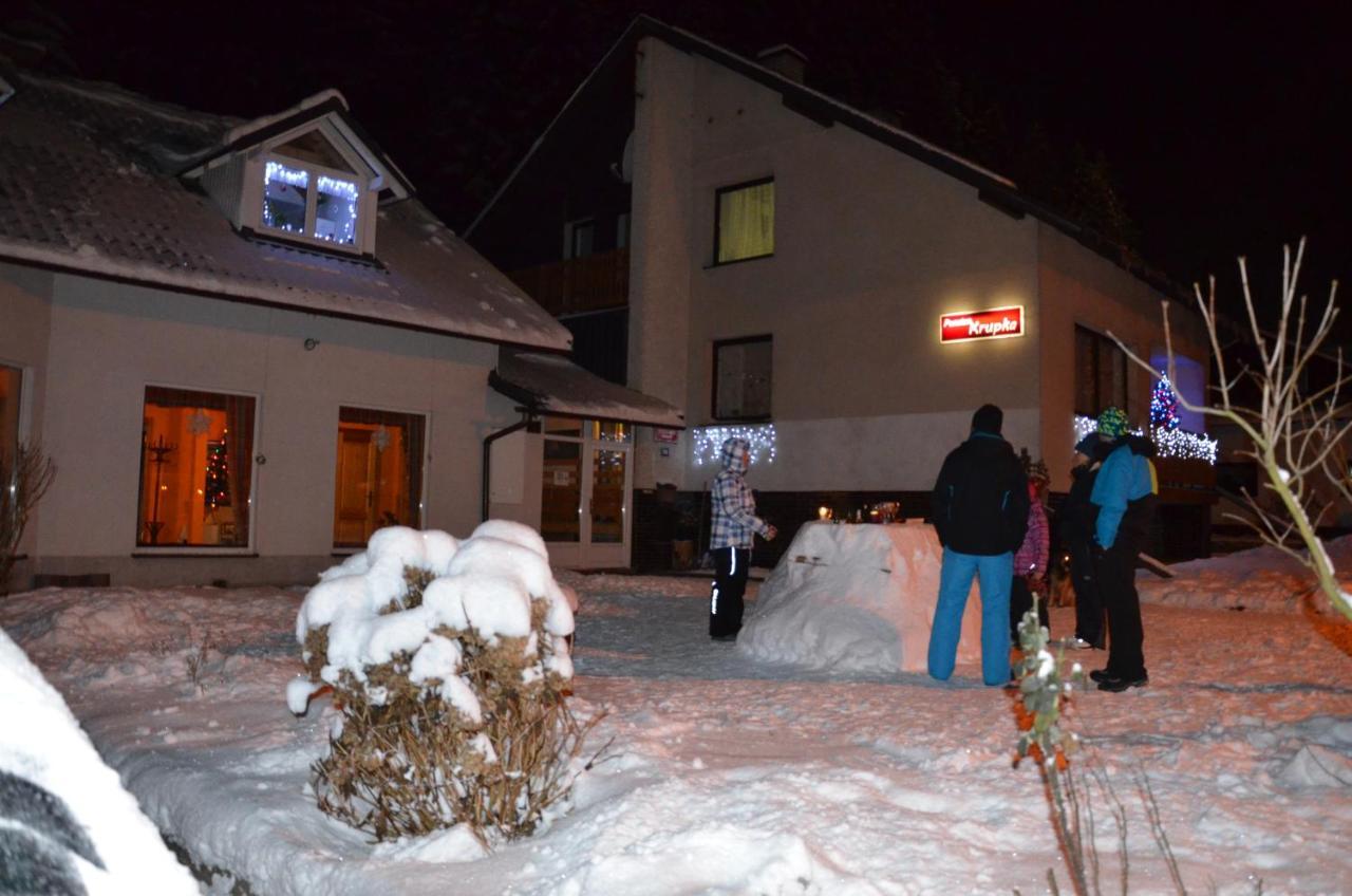 Pension Krupka 443 - Ski Herlikovice A Bubakov Vrchlabí エクステリア 写真